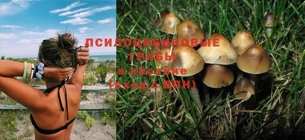 круглые Алексин