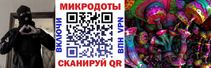 Галлюциногенные грибы Psilocybe  Пойковский 